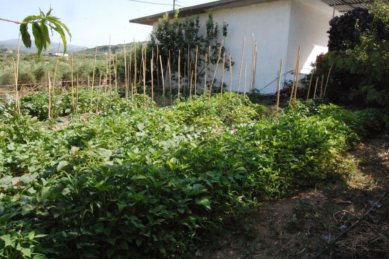 فيلا Old Winery House كوليمفاري المظهر الخارجي الصورة