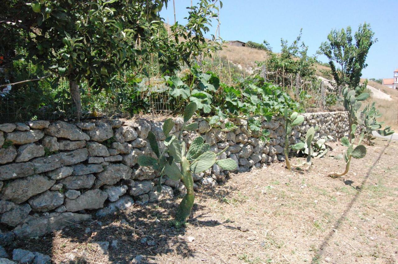 فيلا Old Winery House كوليمفاري المظهر الخارجي الصورة