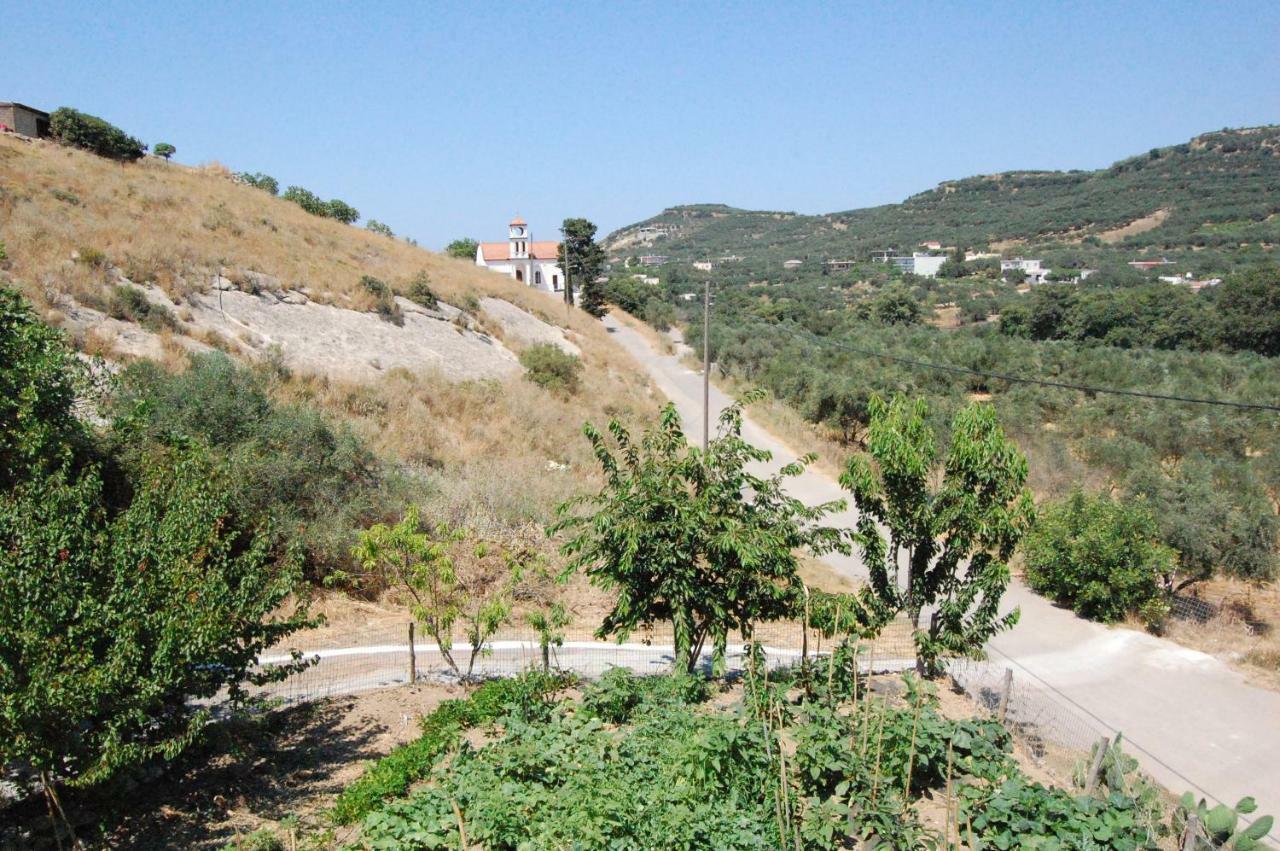 فيلا Old Winery House كوليمفاري المظهر الخارجي الصورة