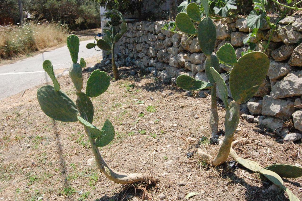 فيلا Old Winery House كوليمفاري المظهر الخارجي الصورة