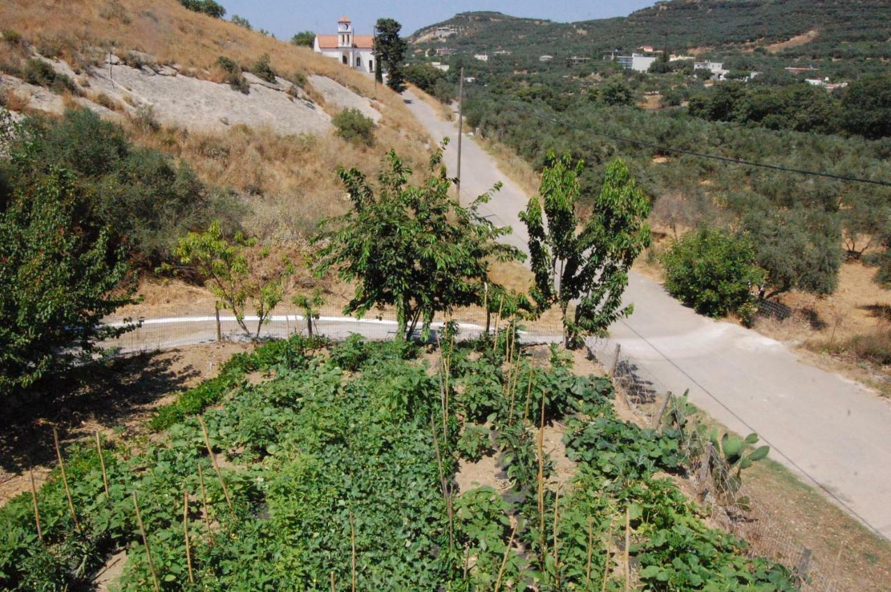 فيلا Old Winery House كوليمفاري المظهر الخارجي الصورة