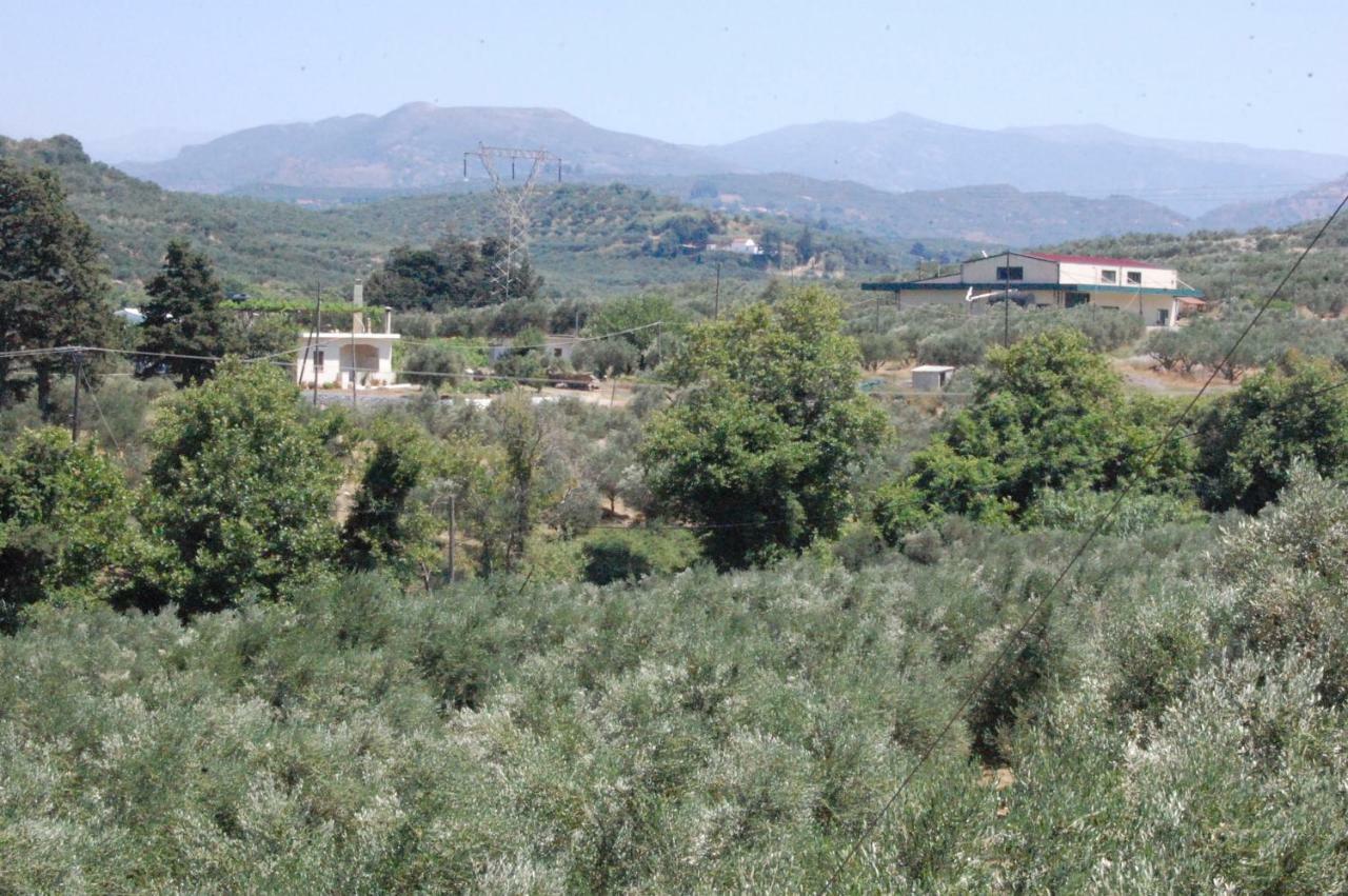 فيلا Old Winery House كوليمفاري المظهر الخارجي الصورة